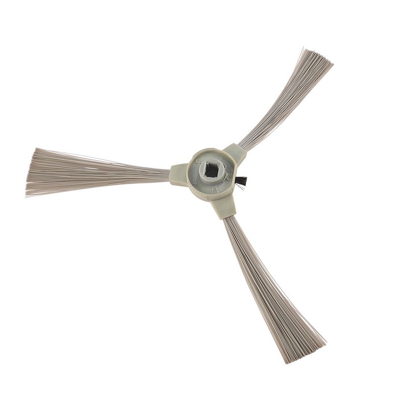 Cepillo-dorso